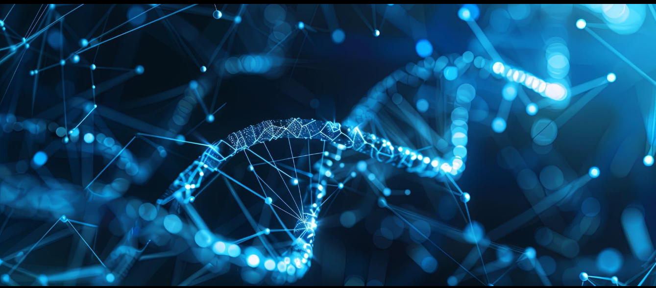 Digital DNA helix network